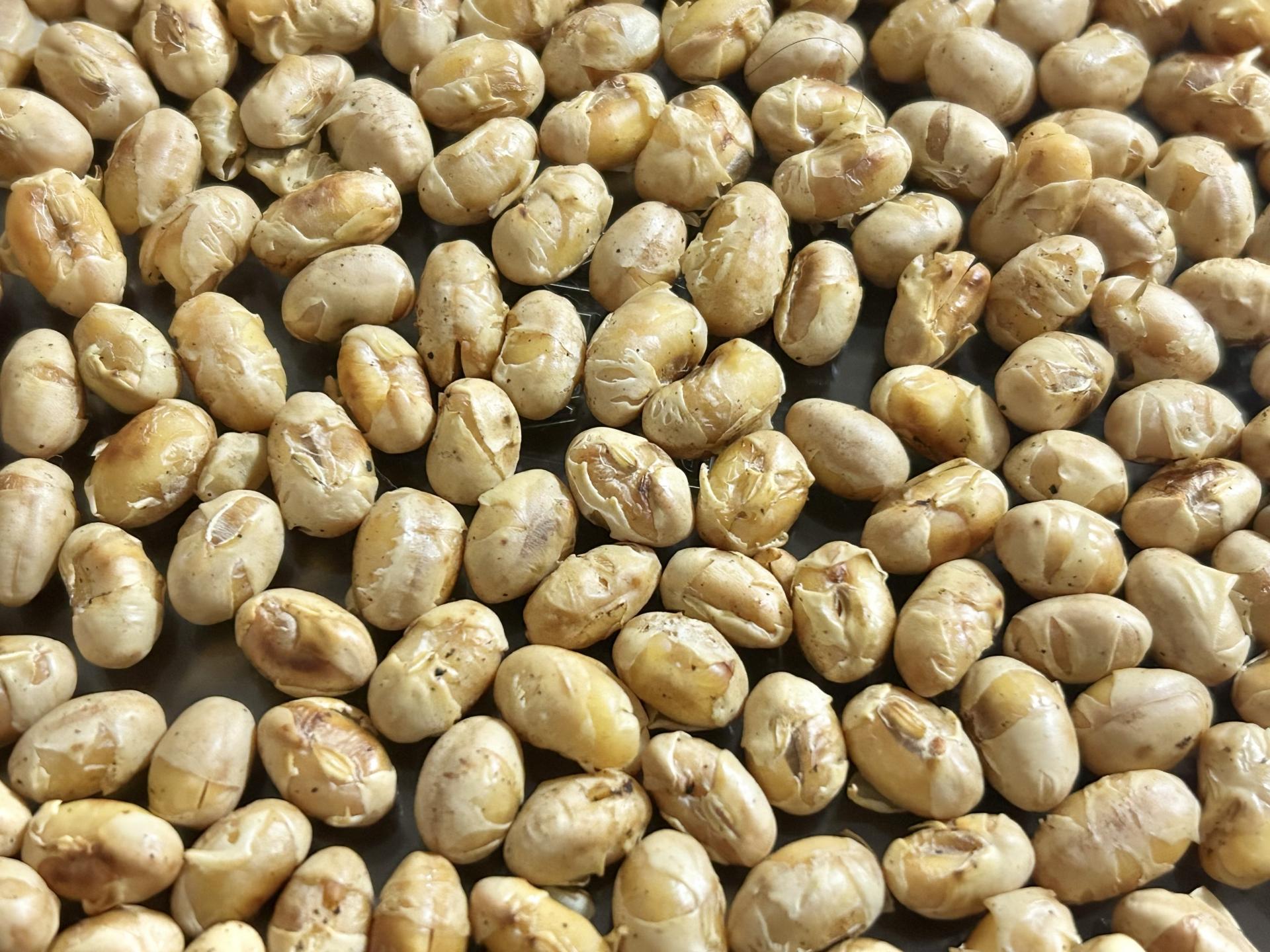 大豆計量設備工事